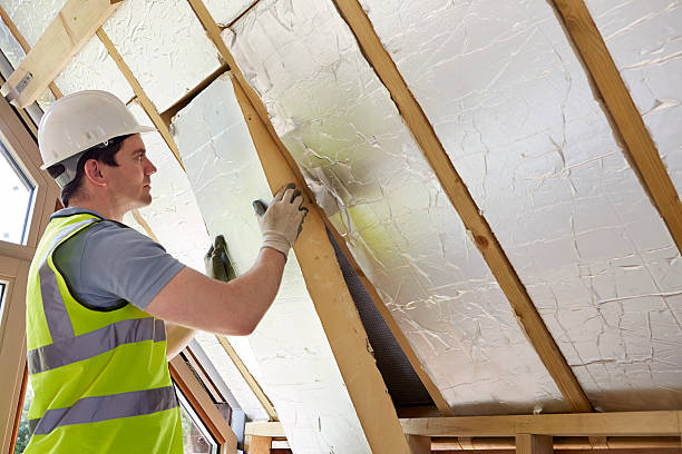 Best Insulation Maintenance and Repair in Jacksonvle, IL