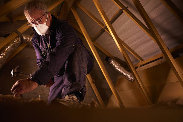 Best Insulation for Specific Applications in Jacksonvle, IL